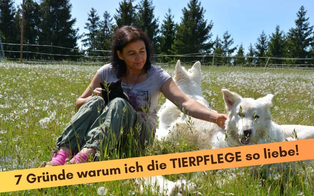 „7 Gründe warum ich die TIERPFLEGE  so liebe!“