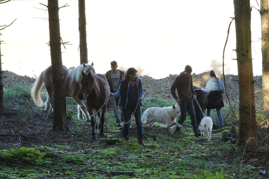 Unsere Familie mit den Pferden und Hunden im Wald