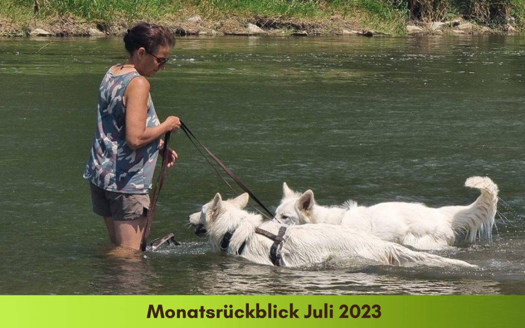 12 von 12 – Mein 12. Juli 2023      in 12 Bildern