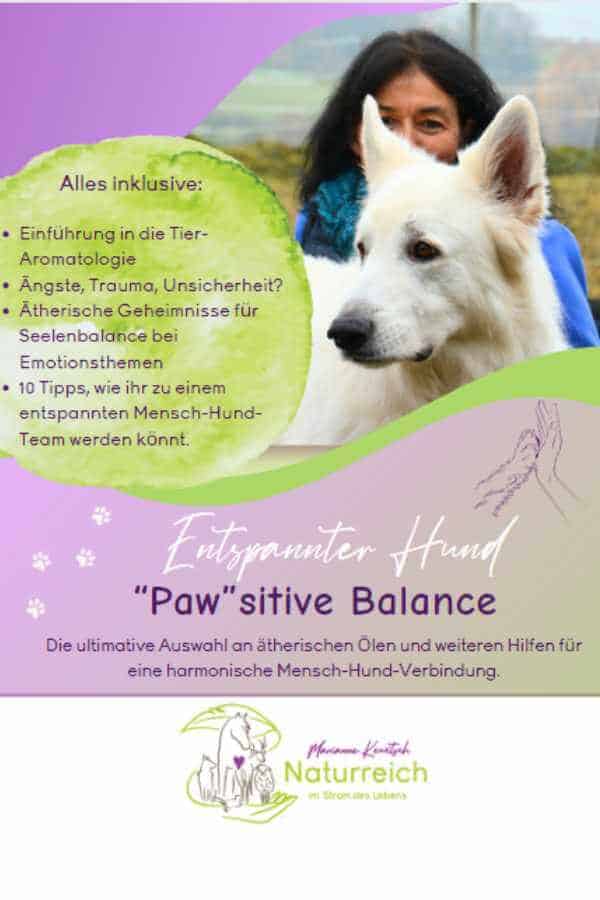 Das Titelbild des Freebies Pawsitive Balance -Entspannter Hund. Marianne mit einem weissen Schäferhund in der Wiese sitzend