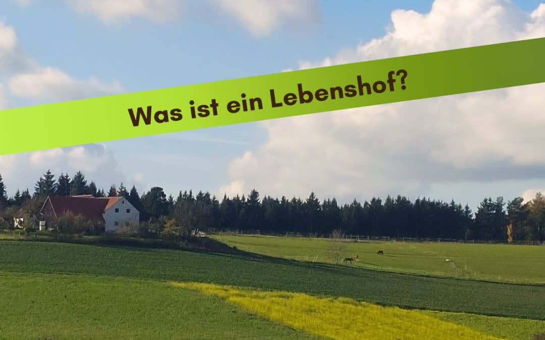 Was ist ein Lebenshof?