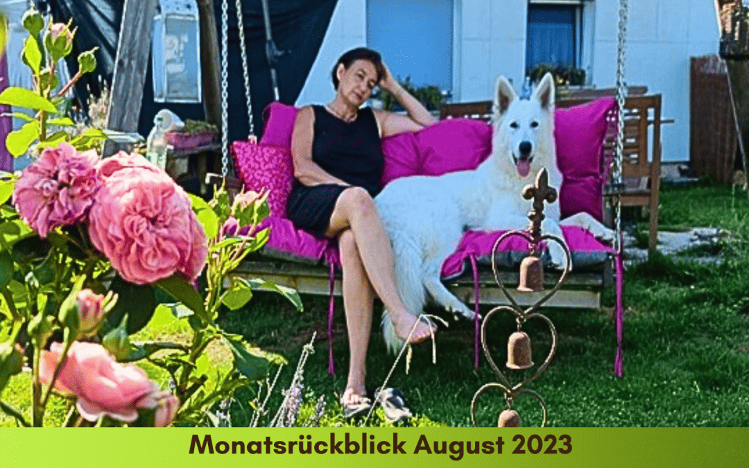 Monatsrückblick August 2023 – ein heißer Monat