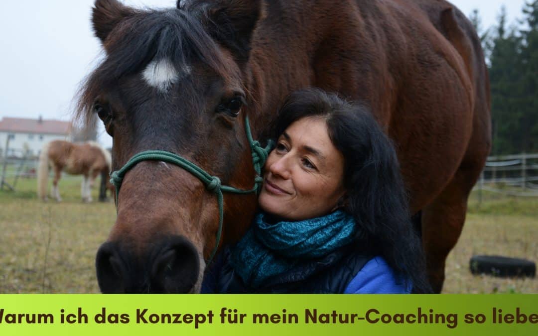 Warum ich das Konzept für mein Natur-Mentoring so liebe!