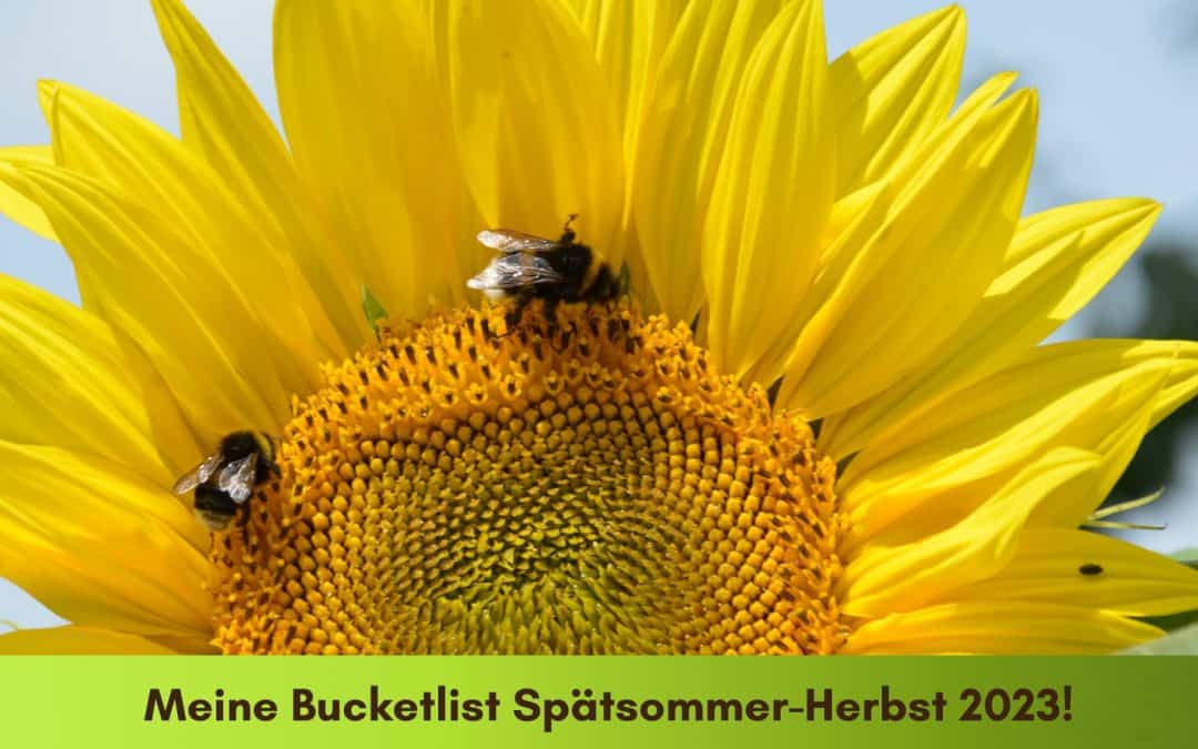 Meine Bucketlist Spätsommer-Herbst 2023