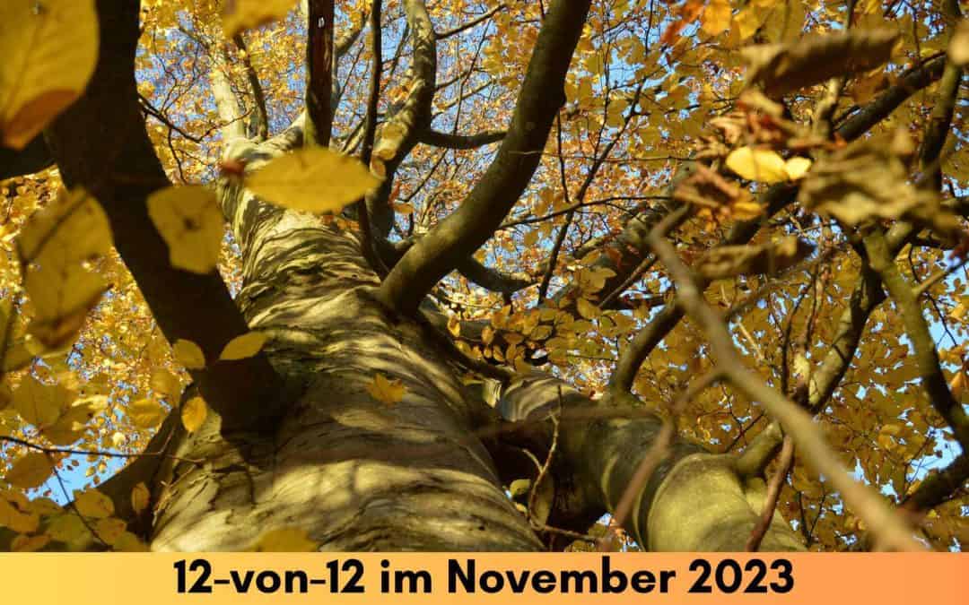 12-von-12 Rückblick im November 2023