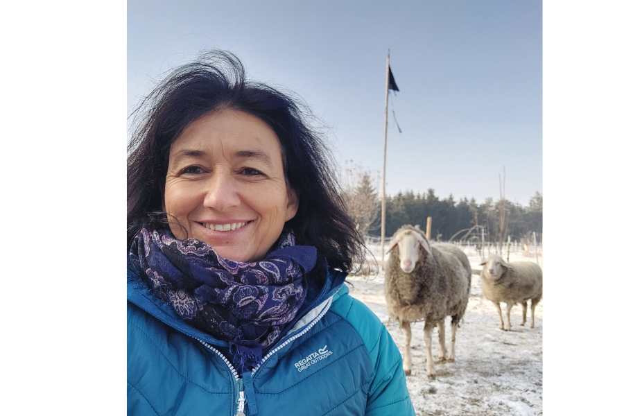 Weihnachten bei den Tieren: Marianne mit zwei der Schafe auf der Koppel im Schnee