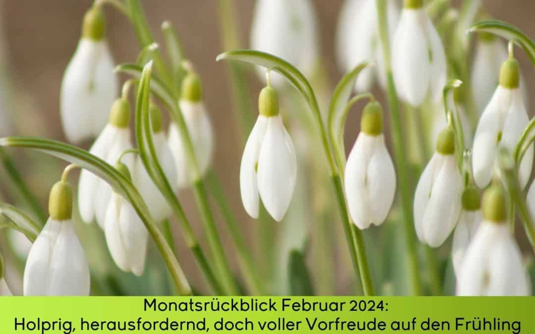 Monatsrückblick Februar 2024: Stolpersteine und Herausforderungen, aber auch Vorfreude auf den Frühling