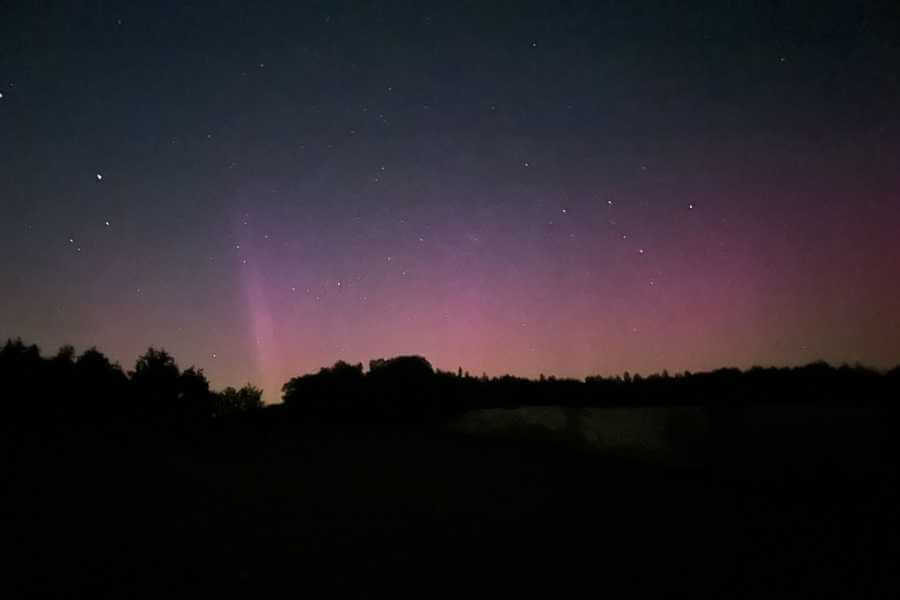 Polarlichter über der Pferdekoppel