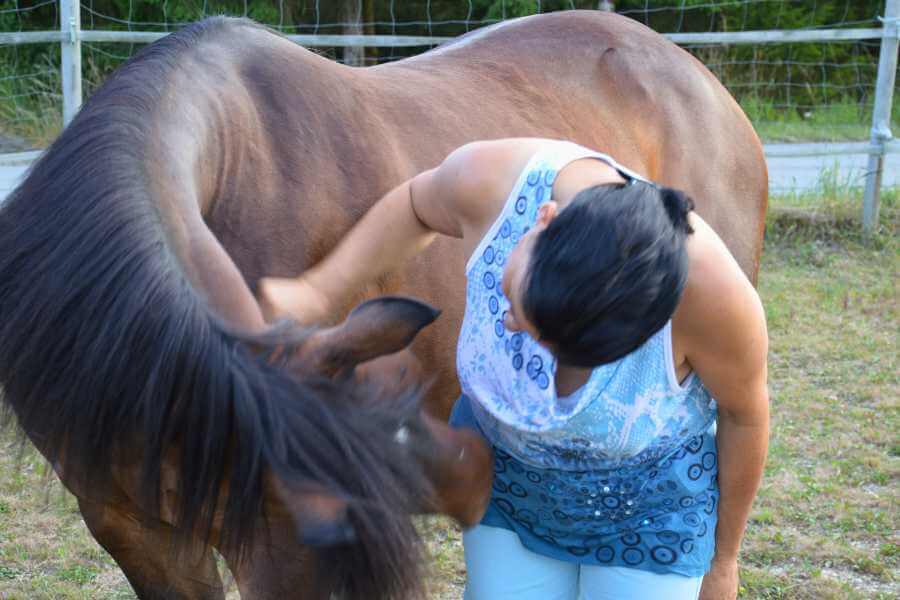 Pferd Momo und Marianne schauen sich an und sind in Verbindung. Tierkommunikation gehört zu ihrem Beruf.