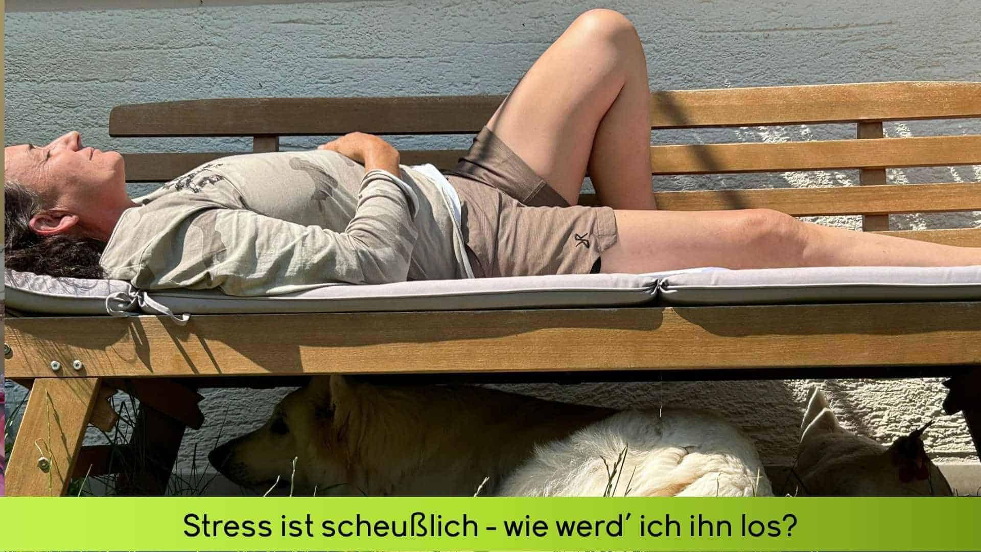 Marianne liegt auf einer Bank am Haus und ruht sich aus. Unter der Holzliege liegt ein weißer Schäferhung und ein Huhn