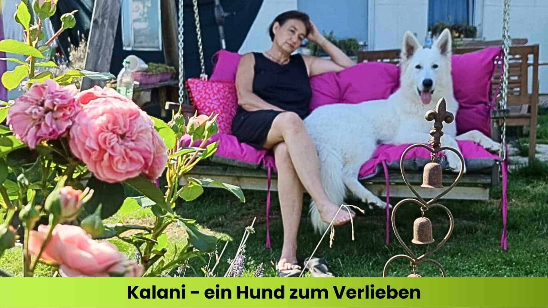 Marianne mit Hund Kalani in der Hängeschaukel im Sommer