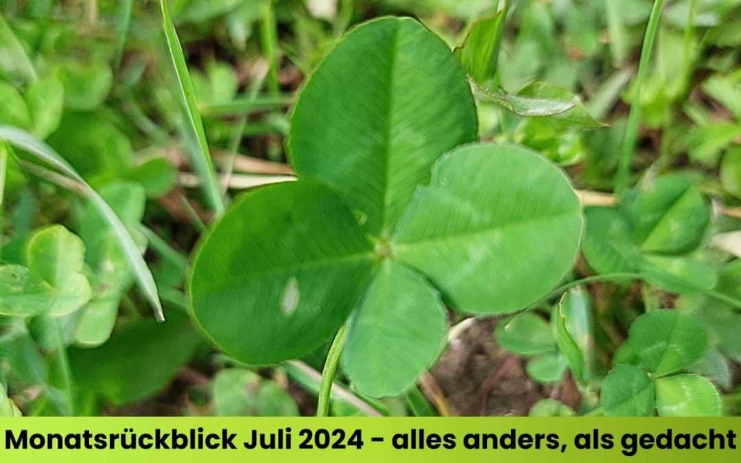 Monatsrückblick Juli 2024 – alles anders, als gedacht