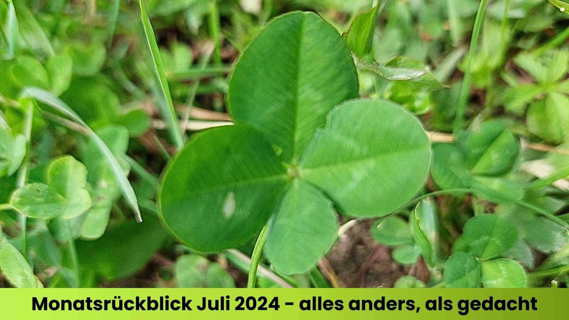 Ein vierblättriges Kleeblatt in einer Wiese