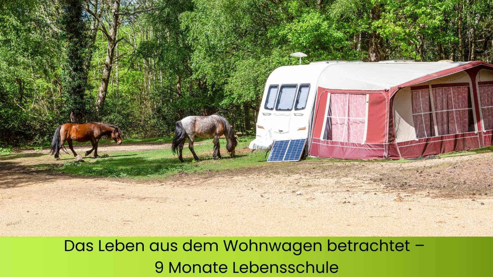 Ein Wohnwagen mit Vorzelt am Waldrand und zwei Pferde grasen daneben