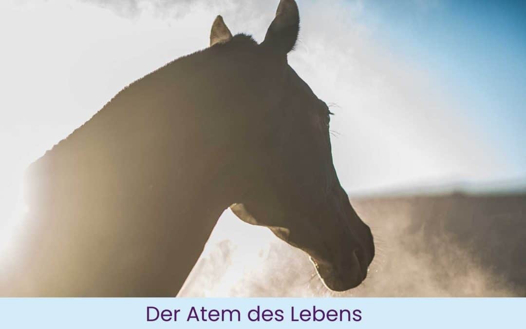 Der Atem des Lebens