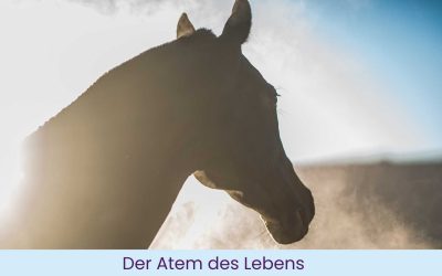 Der Atem des Lebens