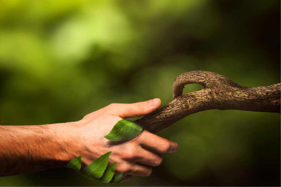 Trotz Wut nimmt der Wald uns auf und reicht uns die Hand
