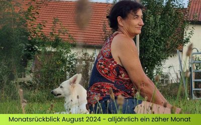 Monatsrückblick August 2024 – alljährlich ein zäher Monat