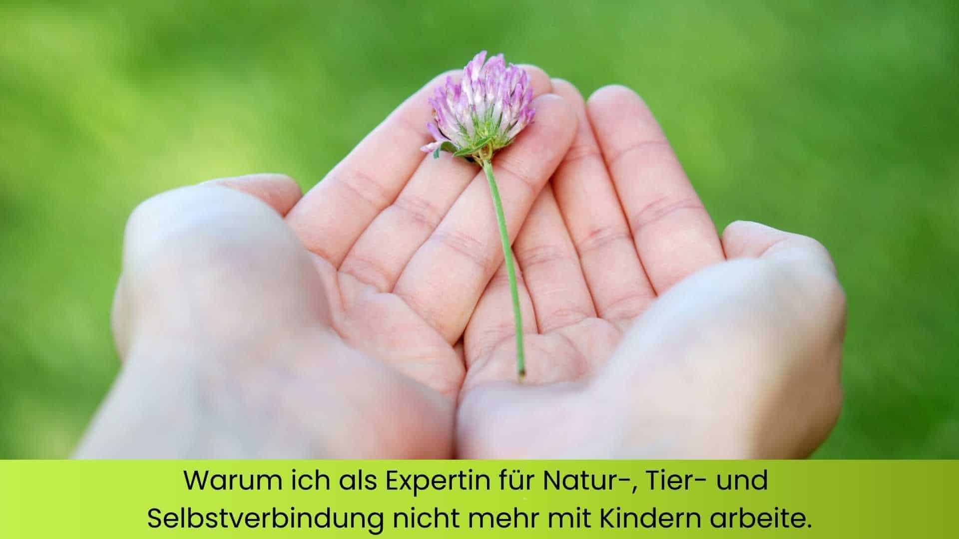 Gebende Hände in der Natur in den Händen eine Kleeblüte