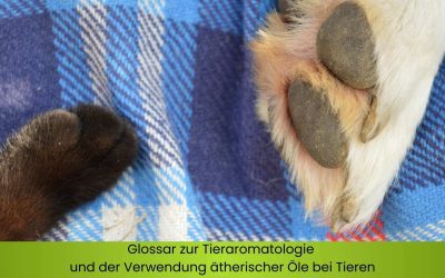 Glossar zur Tieraromatologie – Anwendungen ätherischer Öle bei Tieren