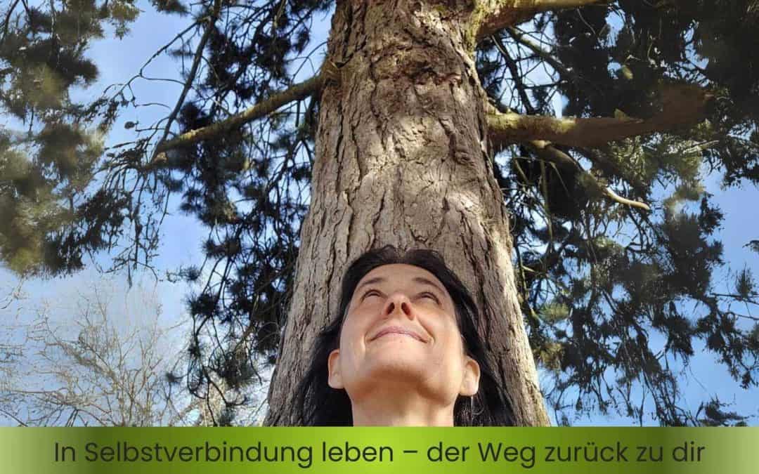 In Selbstverbindung leben – der Weg zurück zu dir