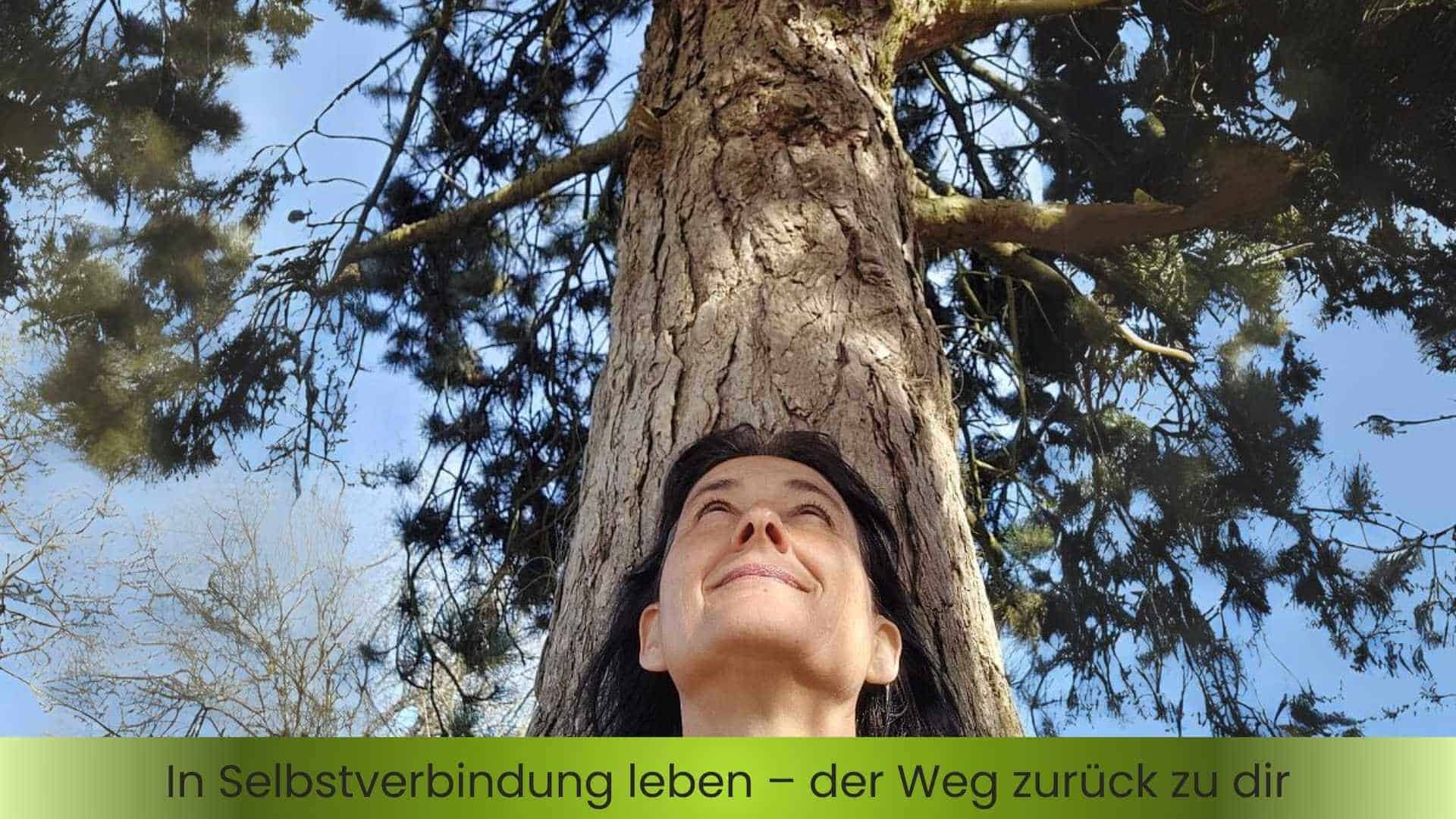 Selbstverbindung in der Natur-Marianne lehnt an der Kiefer und sieht in die Baumkrone