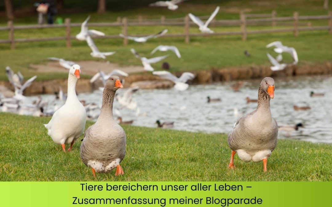 Tiere bereichern unser aller Leben – Zusammenfassung meiner Blogparade