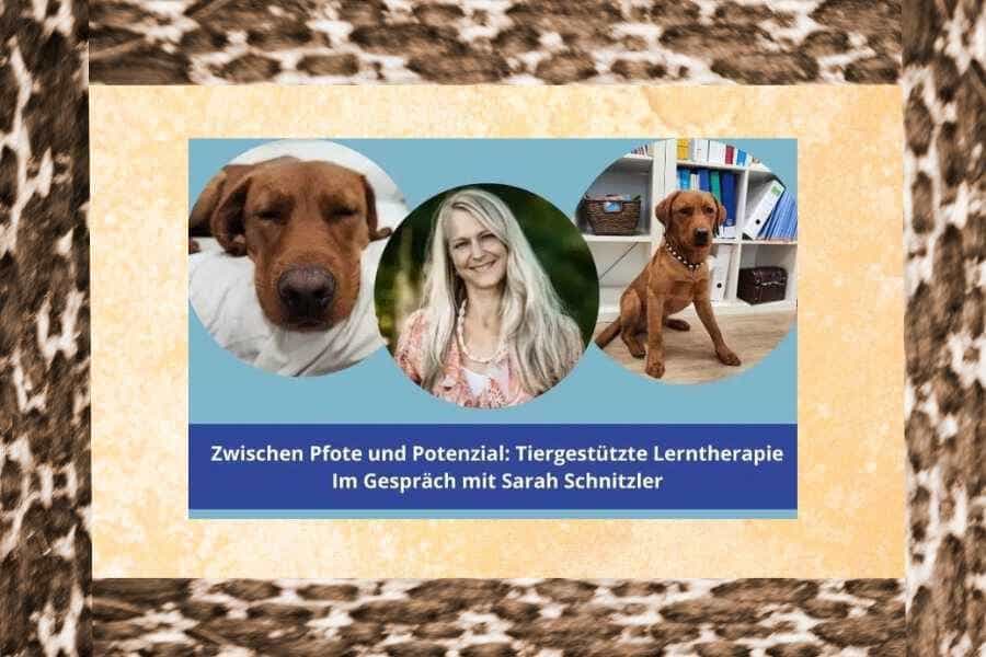 Susanne wie ihr Hund die Therapie bereichert