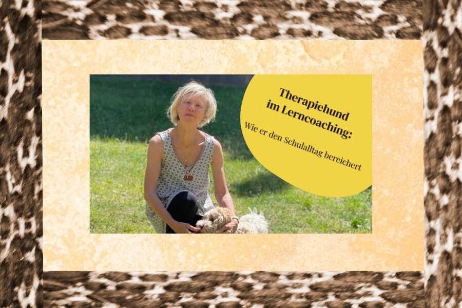 Im Lerncaoching von Silke bereichern Tiere das Leben