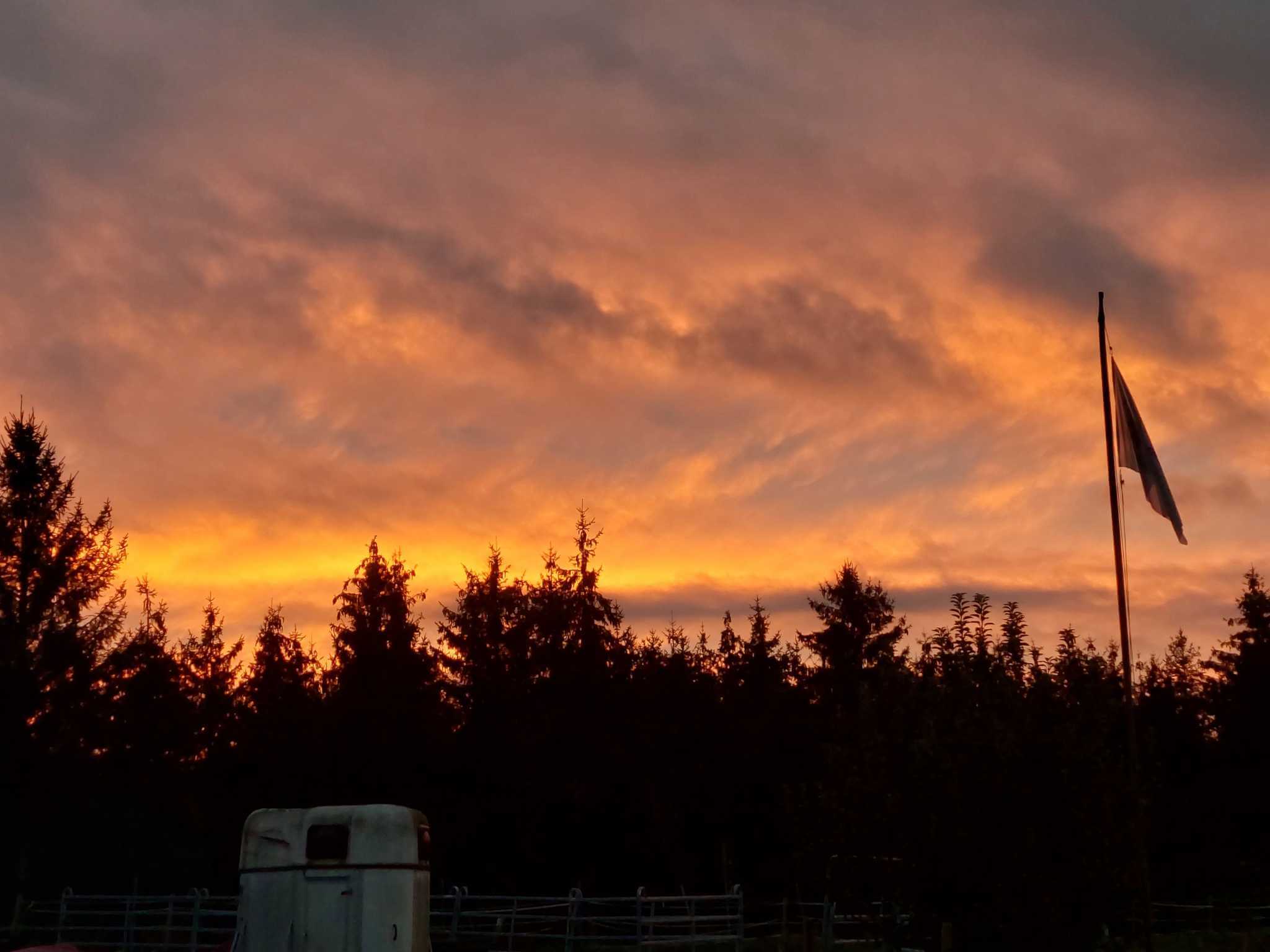 Sonnenuntergang nach einem langen Tag man sieht die Baumwipfel