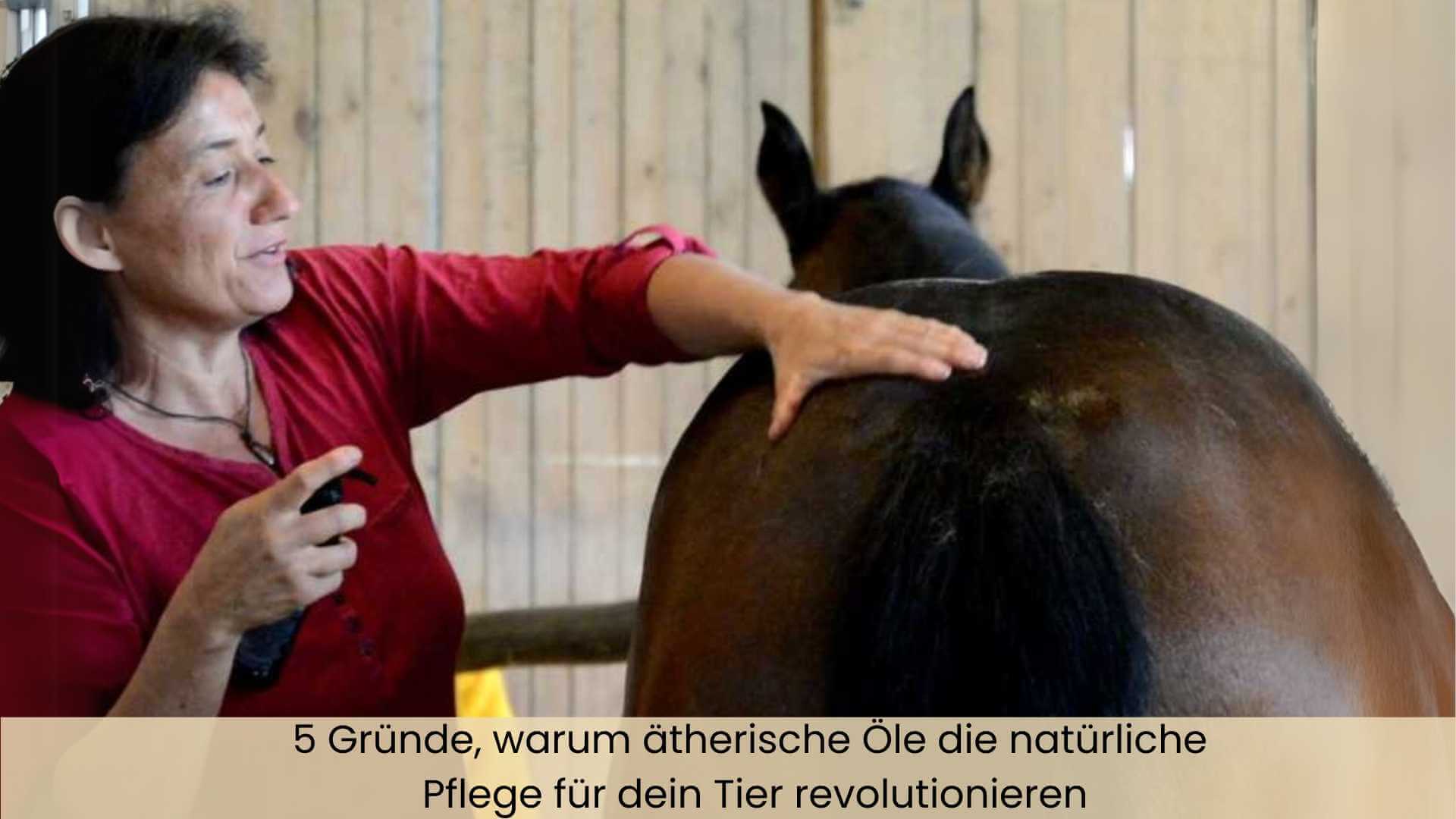 Marianne mit Pferd Momo, bei einer Anwendung mit äthersichen Ölen