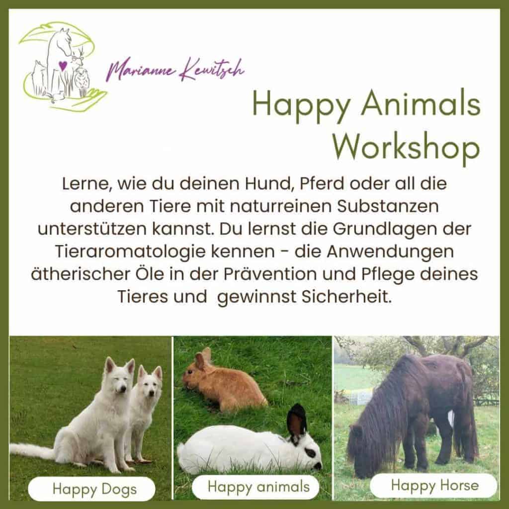 Angebot für Happy Animals Workshop