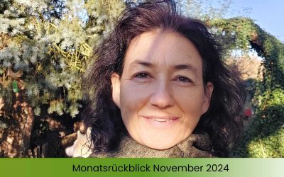 Monatsrückblick November 2024 – Komfortzone verlassen und trotzdem dankbar