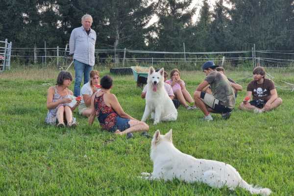 Eine Gruppe von Menschen sitzen auf der Weide der Pferde und unterhalten sich, die Hunde sind auch dabei.