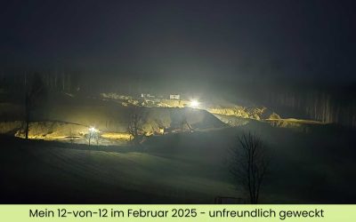 Mein 12-von-12 im Februar 2025 – unfreundlich geweckt