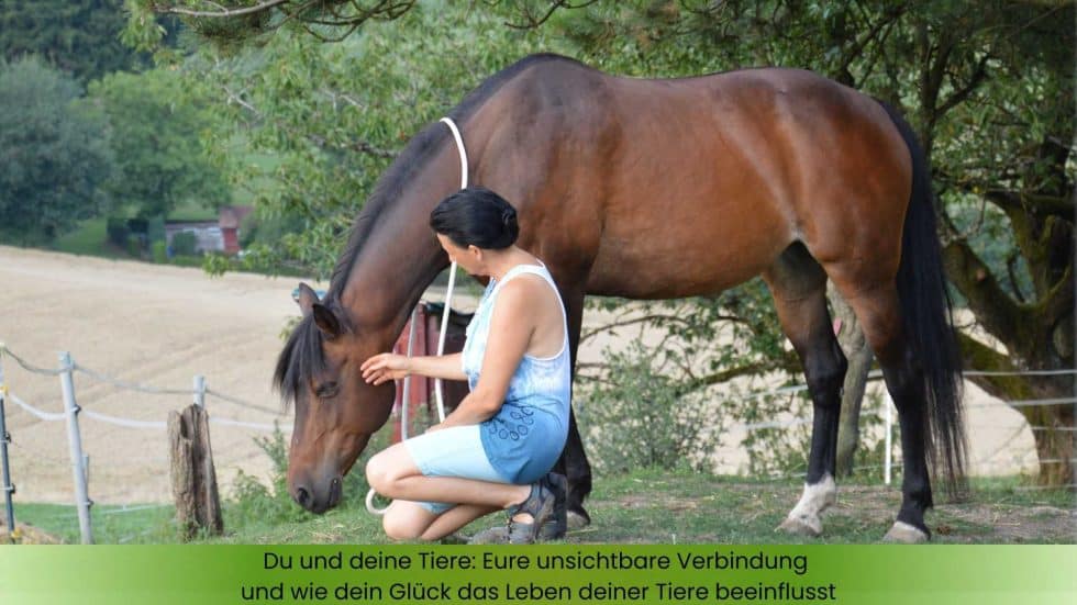 Marianne mit Pferd Momo, sie kniet am Boden. Tiere und Tierhalter haben eine unsichtbare Verbindung