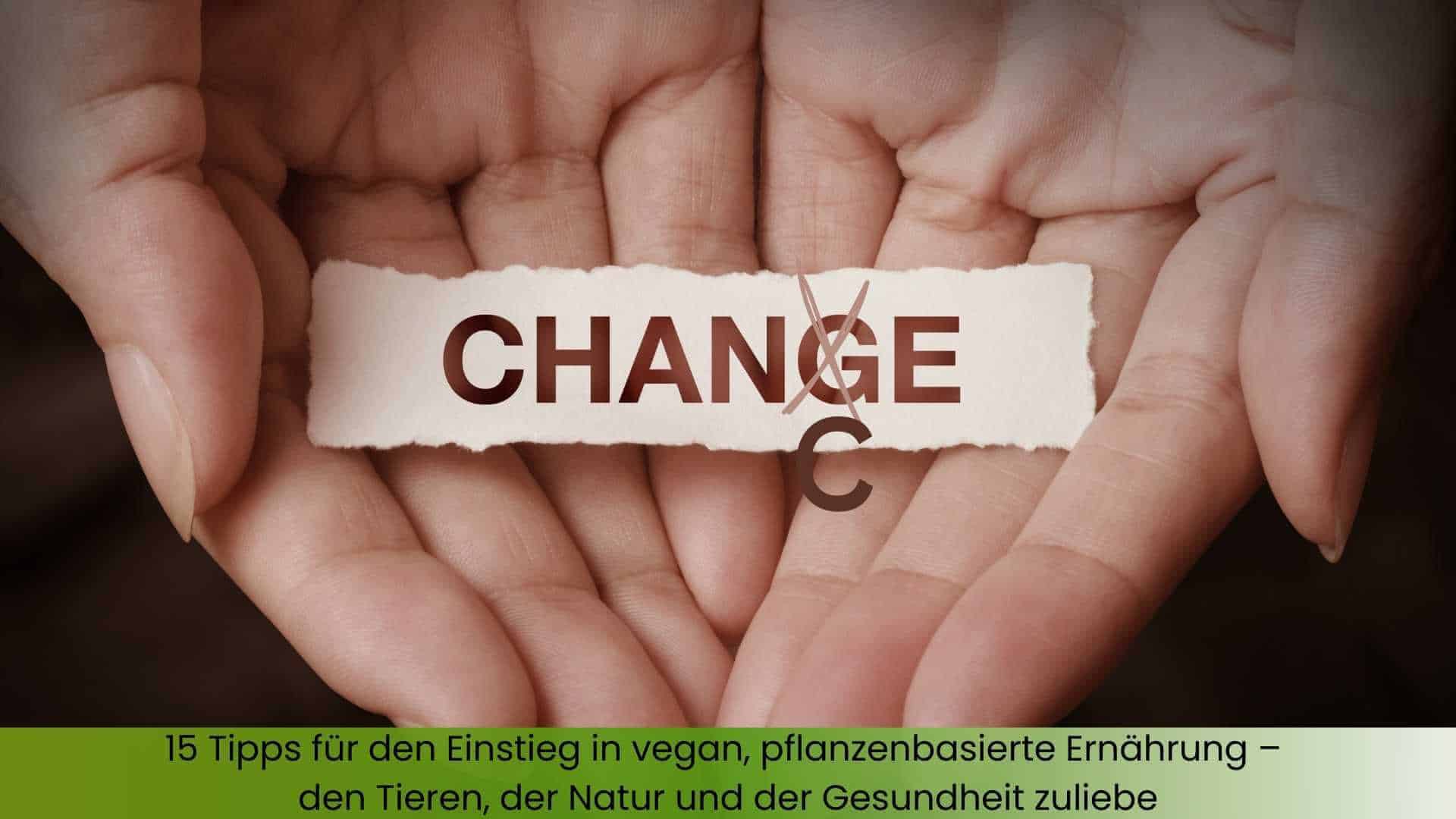 Zwei Hände halten ein Schild mit der Aufschrift Change und das G ist durchgestrichen und durch ein C ersetzt wie Chance