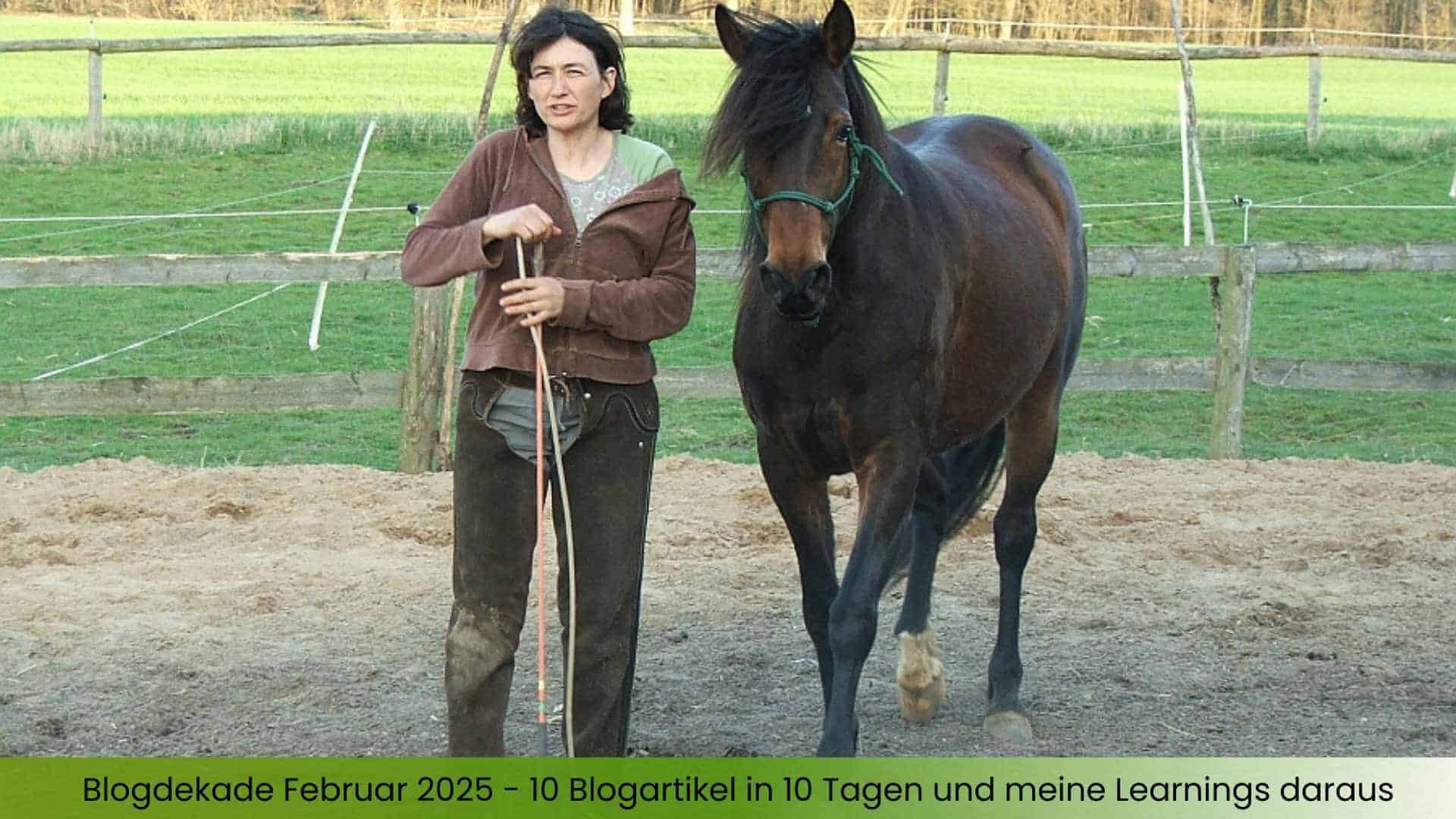 Marianne mit Pferd Momo im Freestyle - Blogdekade stand diesmal auch unter dem Motto Freiheit, was geht geht und was nicht eben nicht