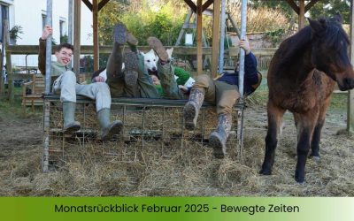 Monatsrückblick Februar 2025 – Bewegte Zeiten