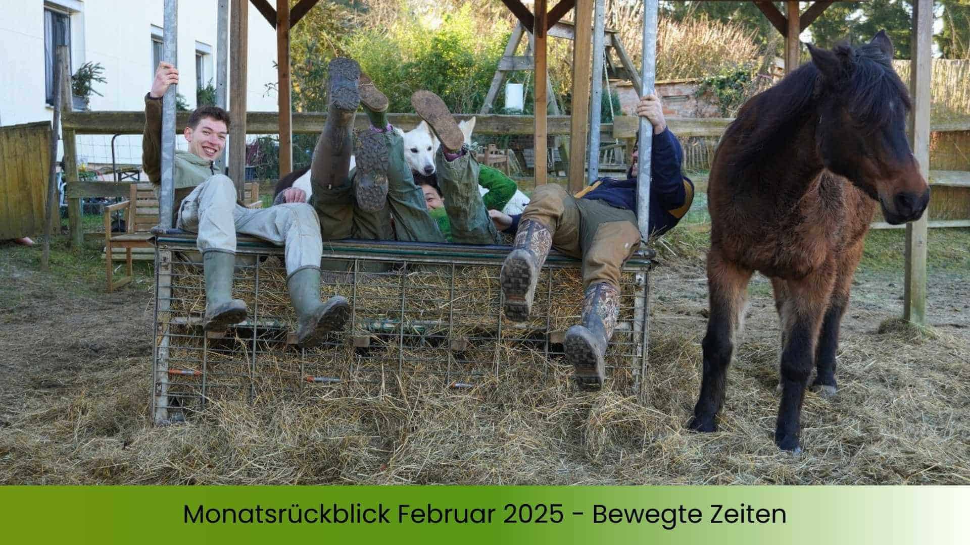 Marianne und Familie im Heugatter der Tiere, daneben ein braunes Pferd. Alle kippen rückwärts ins Heu und lachen.